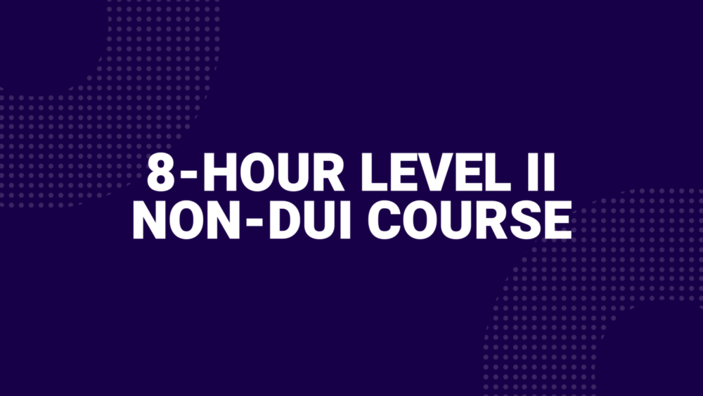8 hour driving course online